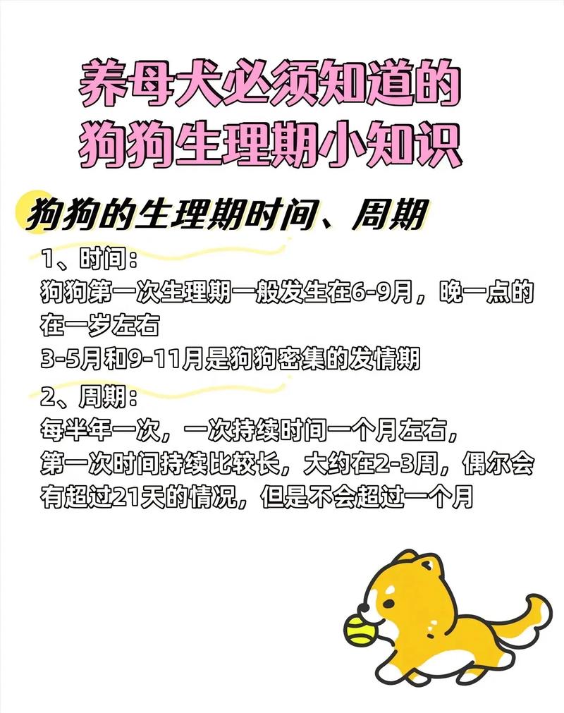 狗狗生狗狗间隔多长时间