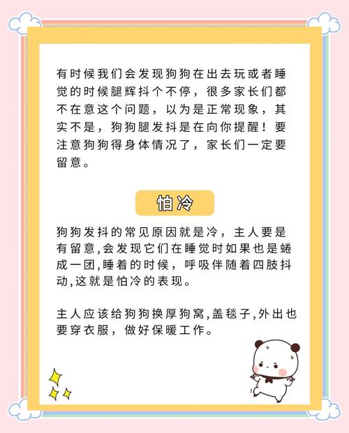 狗狗发抖怎么办