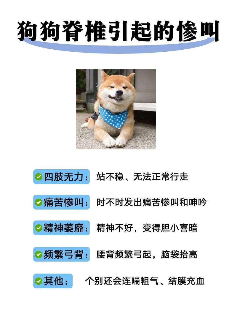 狗狗为什么发抖还哼唧