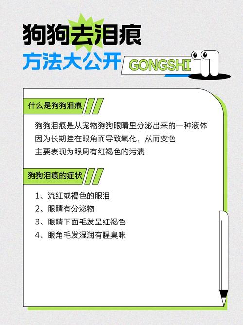 怎么去除狗狗的泪痕?