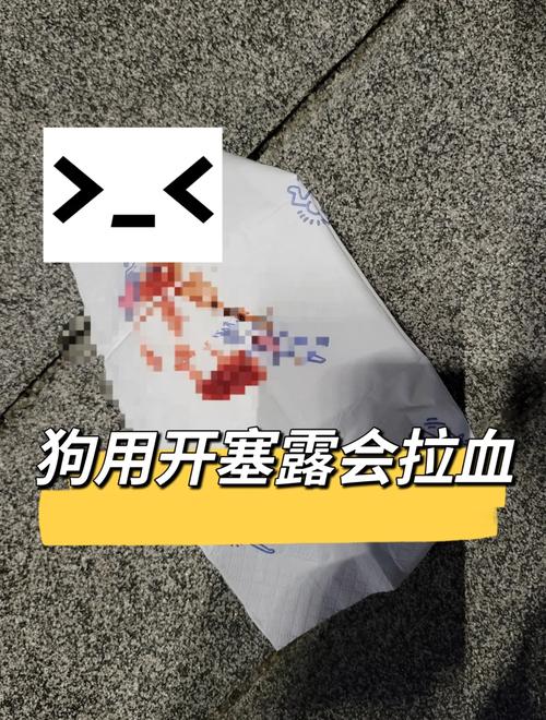 狗狗便秘的4个解决方法