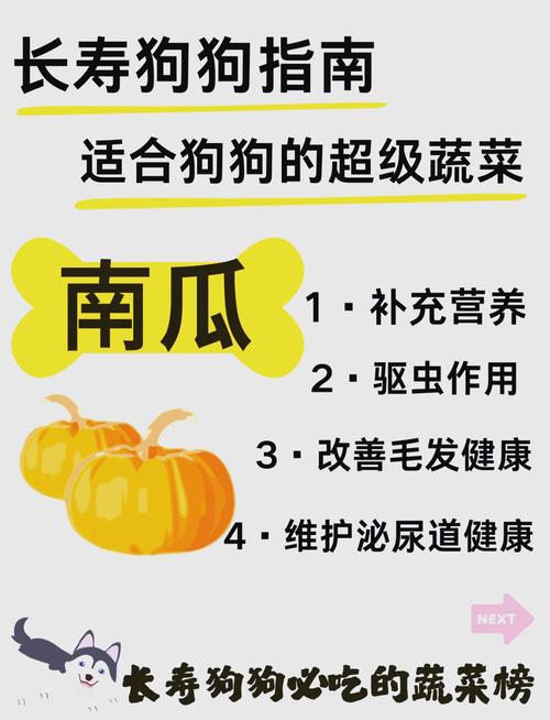 南瓜对狗狗有什么好处和坏处