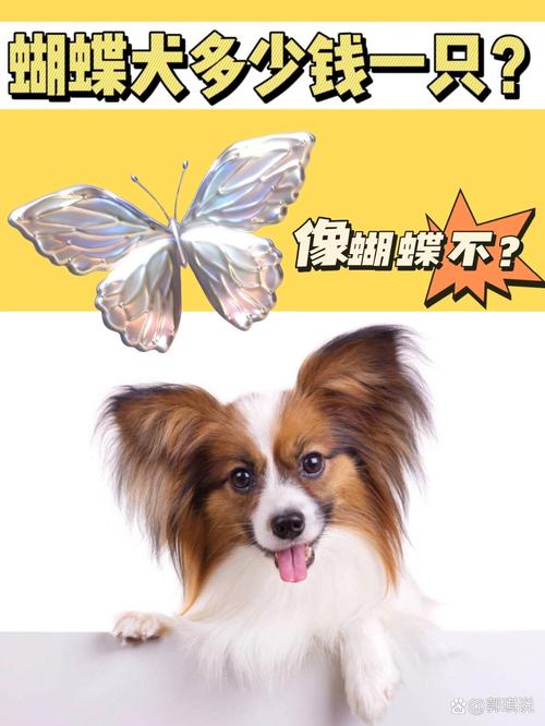 BUBBY是什么意思?
