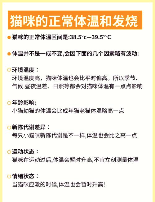猫咪发烧怎么判断