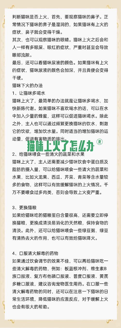 猫咪上火有什么症状,应该怎么解决?