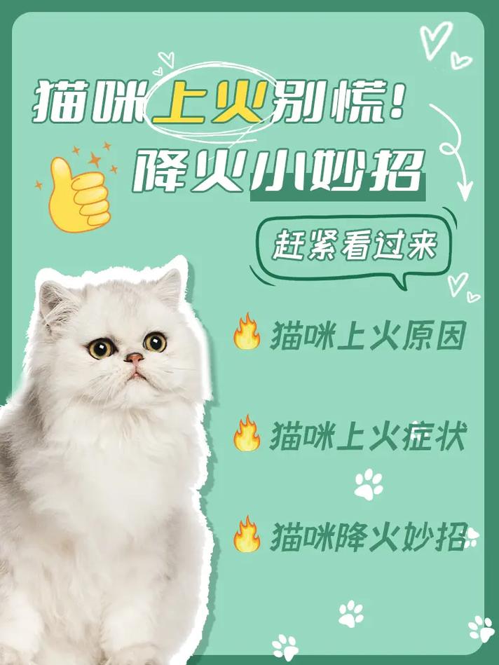 猫咪上火的症状有哪些表现