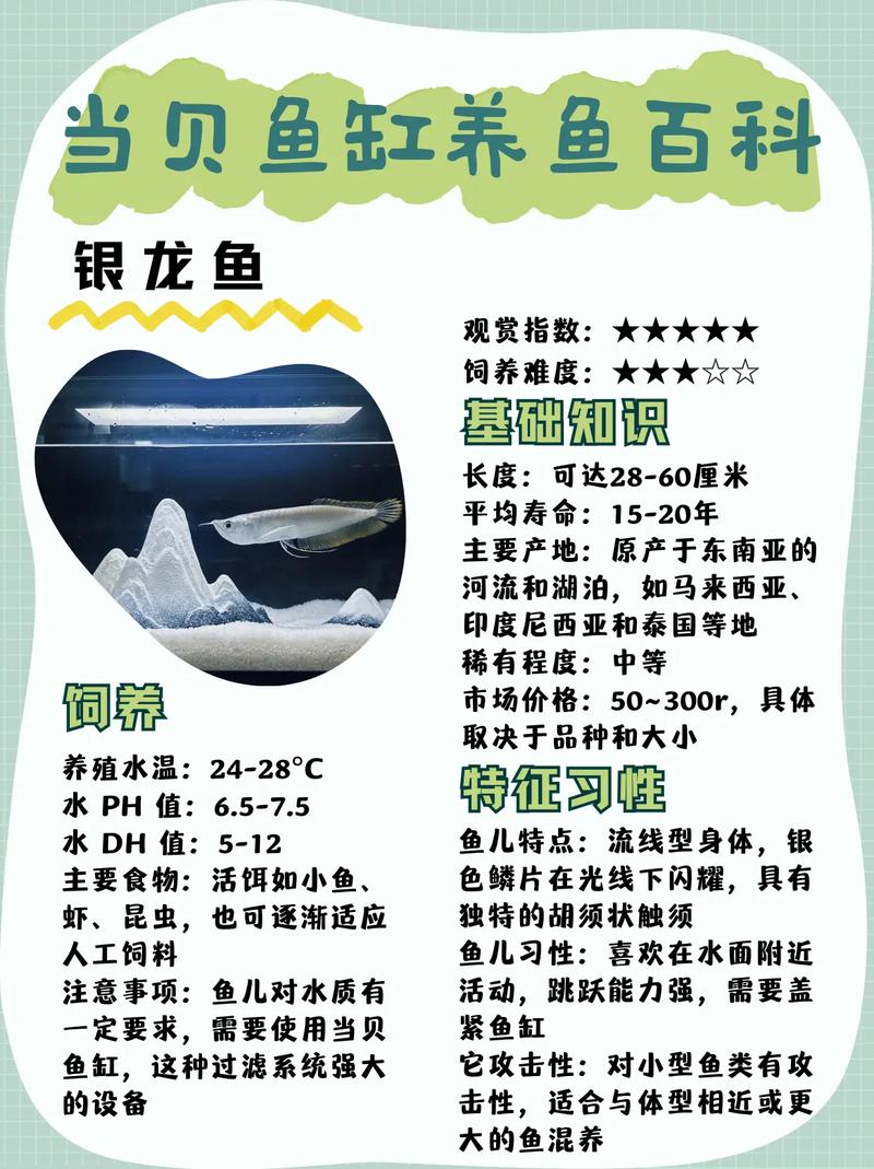 银龙鱼生活习性
