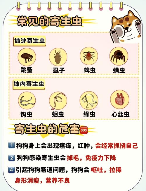 狗狗几个月体内体外驱虫一次好?