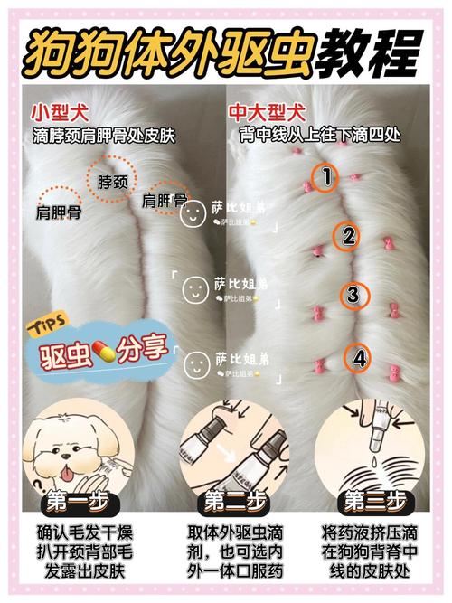 狗狗体外驱虫多大可以用