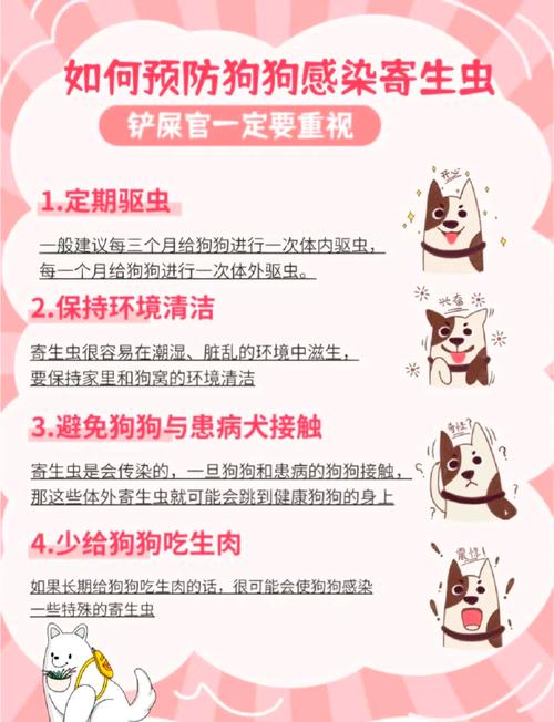 小狗多大能做体外驱虫?