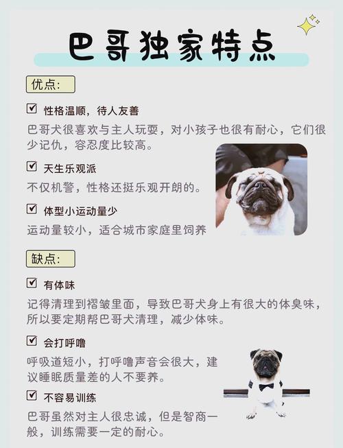 八哥犬有哪些优缺点