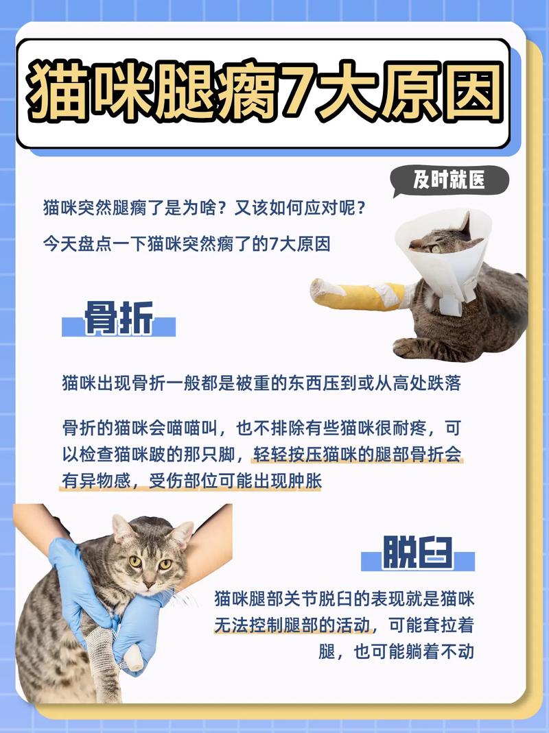 猫咪脚突然瘸了，猫咪脚突然瘸了怎么办但是能稍微走路