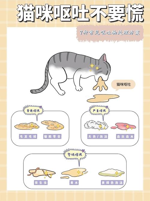猫咪又吐又拉稀怎么办