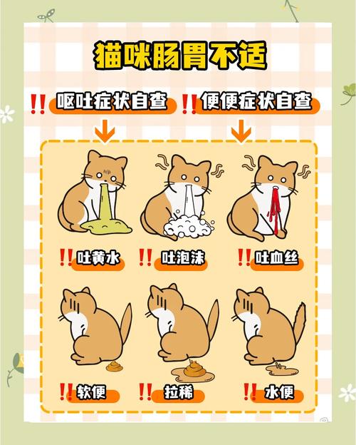 猫咪呕吐又拉稀怎么办?