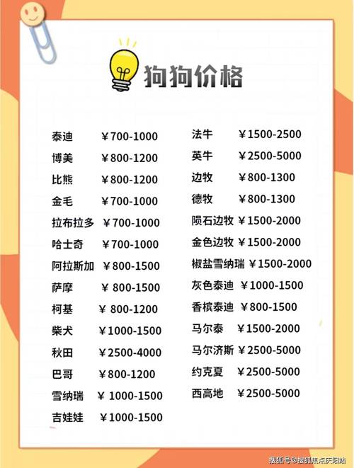 边牧犬多少钱一只?