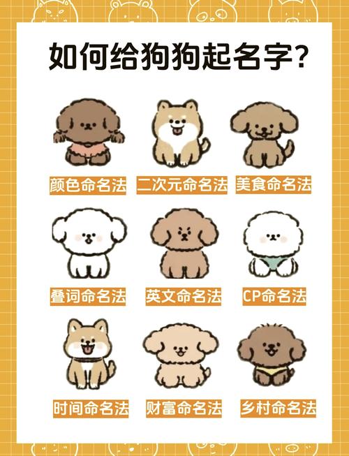 100个好听到爆的狗狗名字
