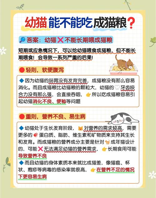 幼猫虚弱可以喝葡萄糖吗