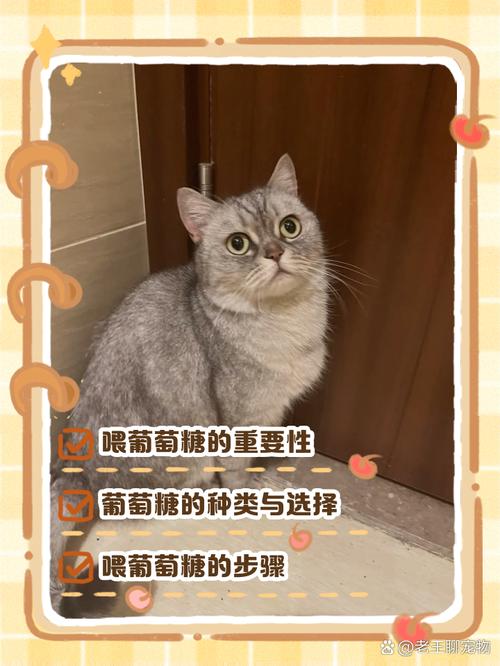 猫咪生病几天了,不吃喝,站都站不住,给它喂人用葡萄糖粉可以吗?