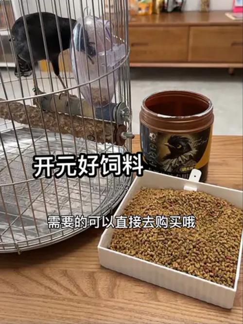 八哥鸟吃什么饲料比较好
?