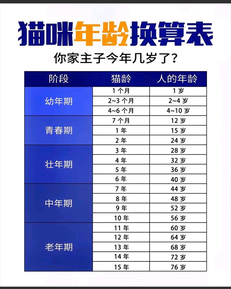 怎么判断猫的年龄