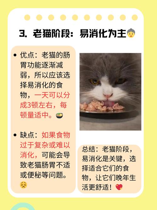 小猫咪一天吃几顿？小猫猫一天吃几顿？