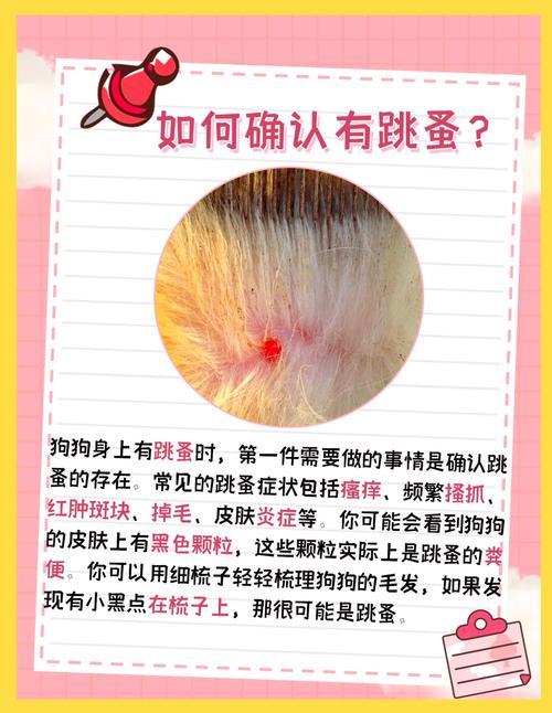 狗狗为什么长跳蚤