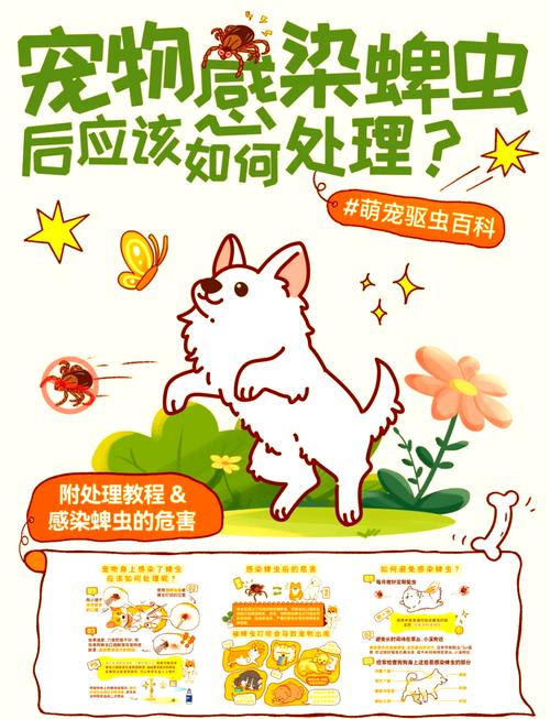 怎么才能把狗狗身上的蜱虫去掉