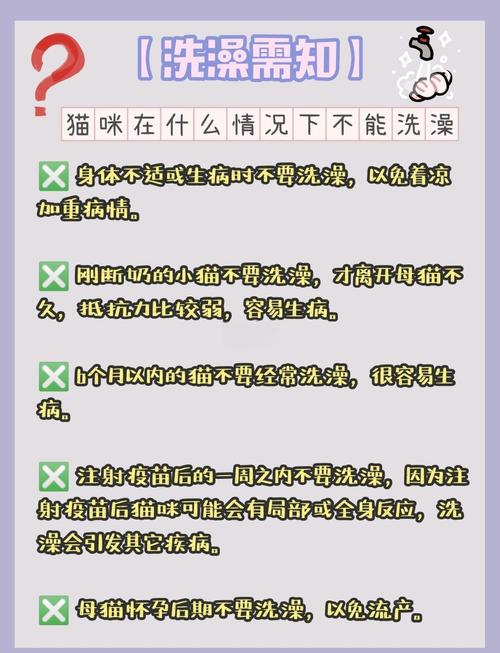 猫咪怀孕可以洗澡吗又脏又臭