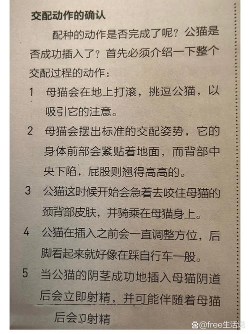 猫咪怎么看出来怀孕了?