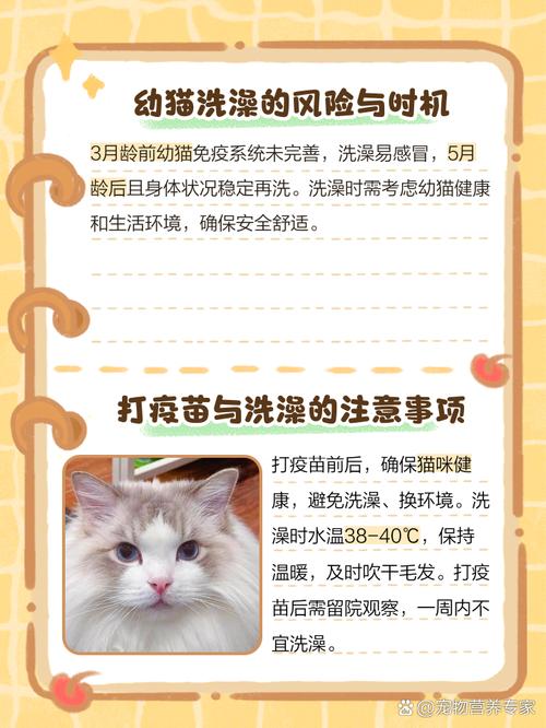 猫咪打针前能洗澡吗