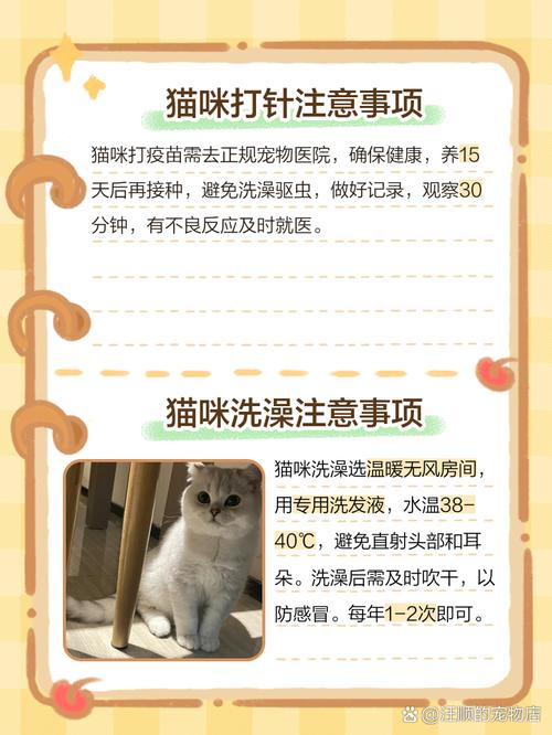 猫打针之前能洗澡吗
