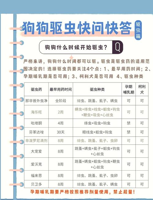 狗驱虫早上吃还是晚上