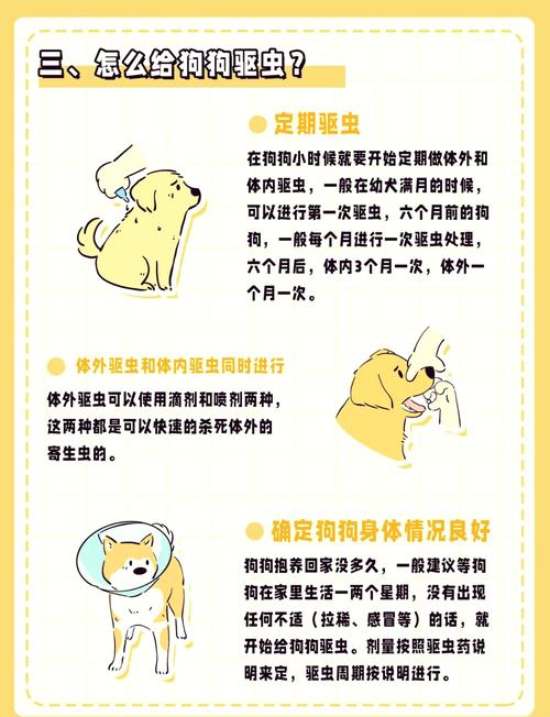 狗狗驱虫药什么时候吃