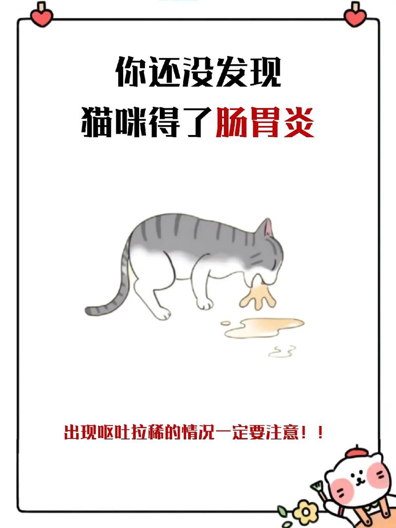 猫咪肠胃不适的表现