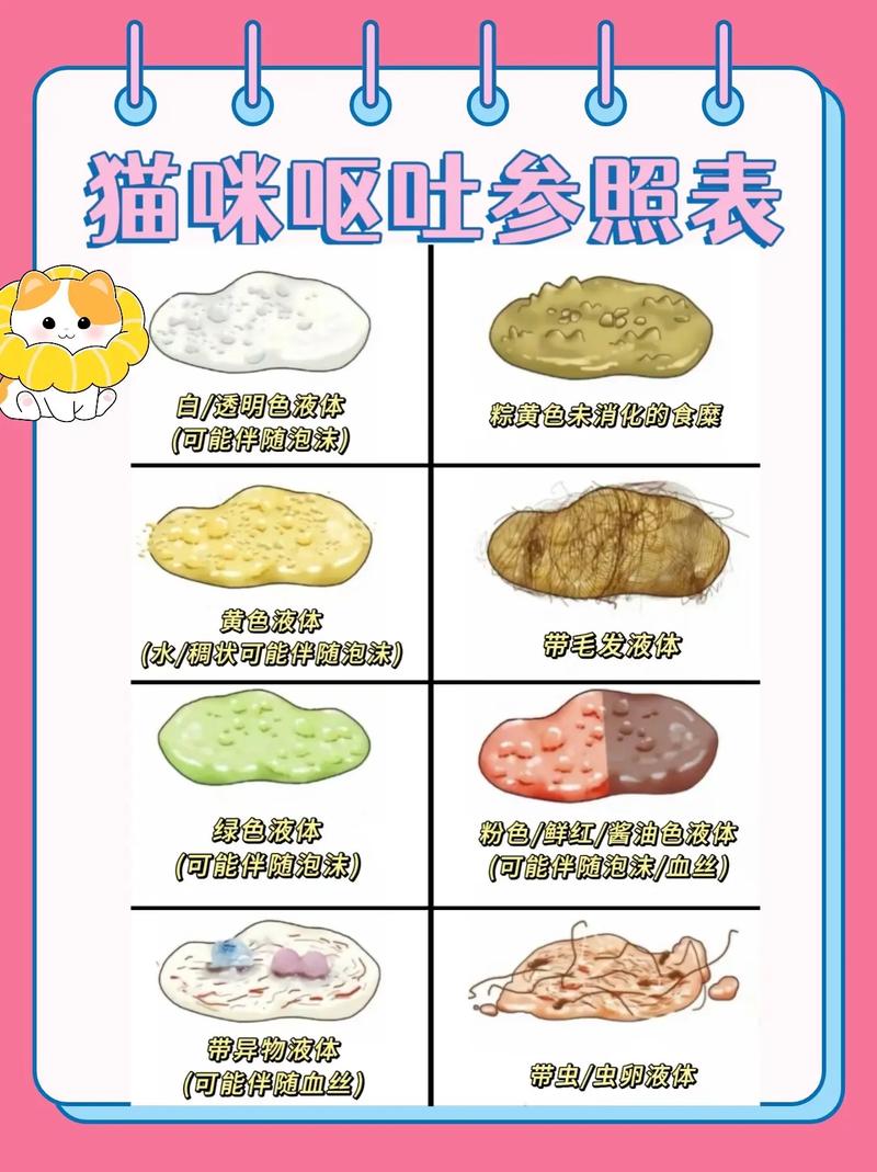 怎么判断猫咪肠胃不舒服