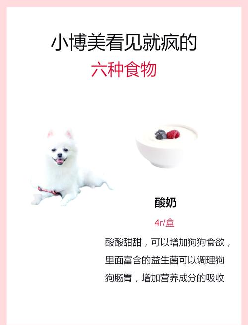 博美犬可以吃什么食物