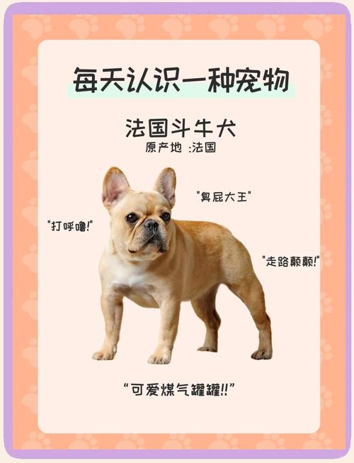 100个好听到爆的狗狗名字公狗