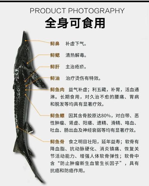 鲟鳇鱼多少钱一斤