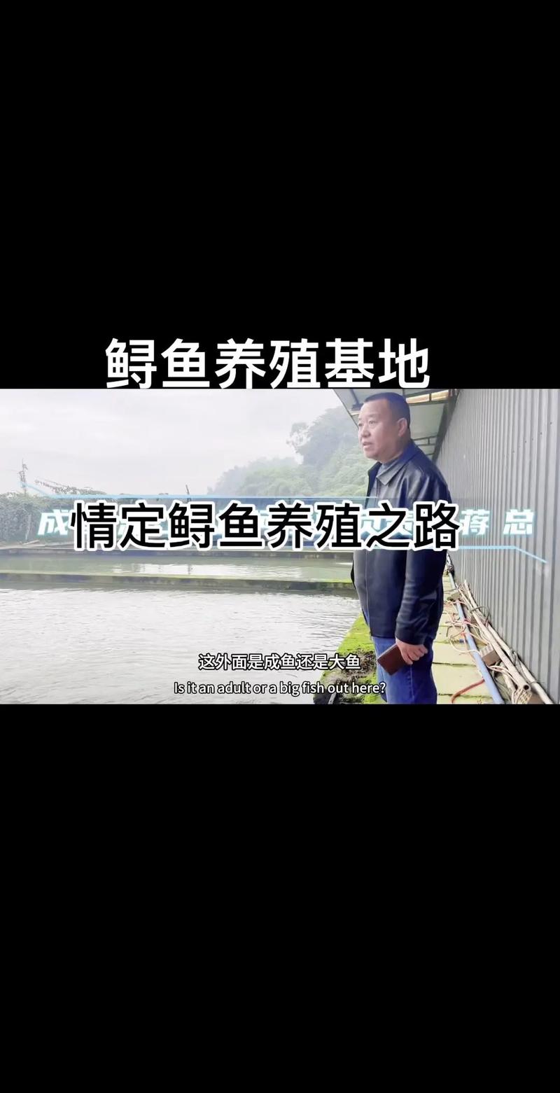 为什么人工养殖鲟鱼的费用
会那么高呢?