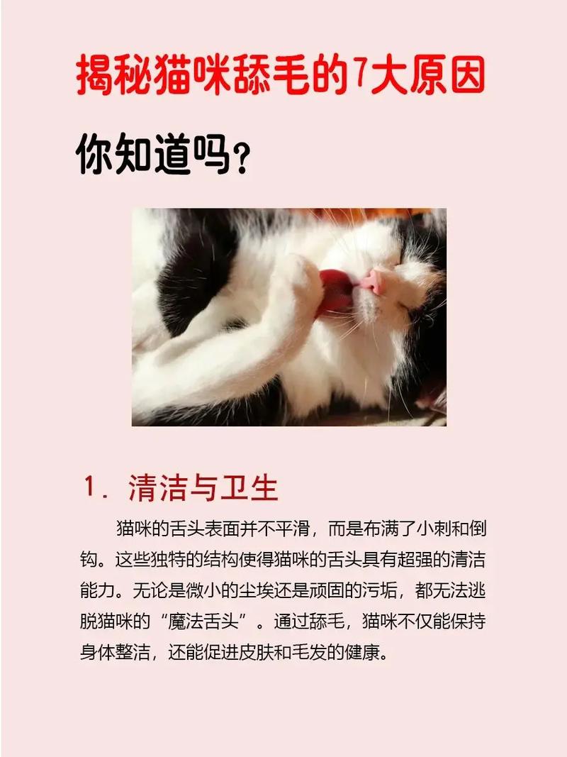 猫猫为什么喜欢舔毛？猫猫为什么喜欢舔毛绒绒的东西？