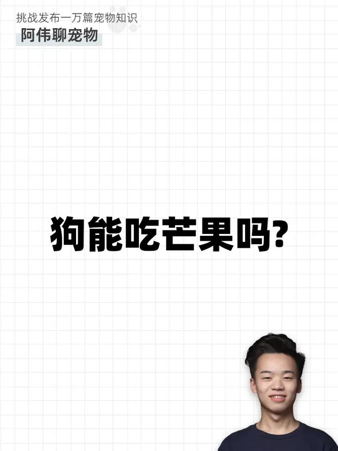 狗可以吃芒果吗(狗吃芒果有什么好处)
