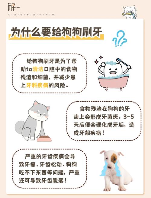 怎样正确的给狗狗刷牙?