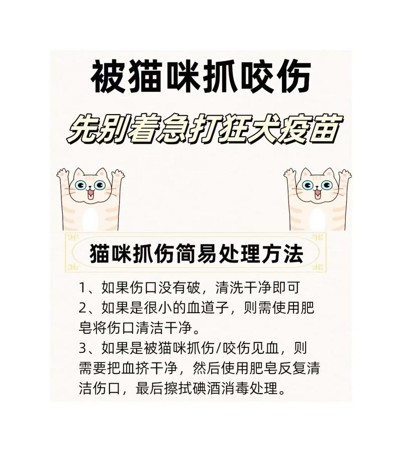 被猫抓了自己怎么处理