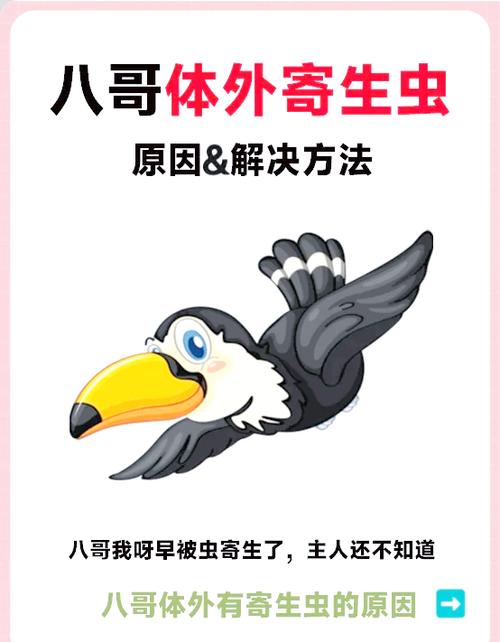 八哥最怕什么东西，八哥怕狗吗？