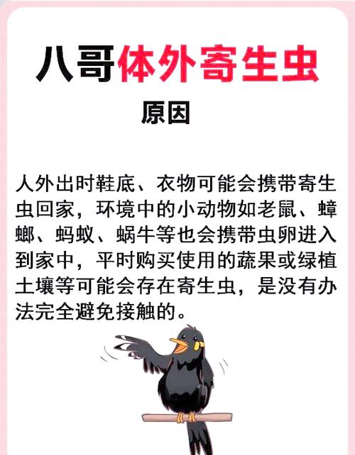八哥最怕什么东西