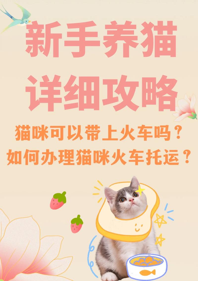 猫咪能坐火车吗，猫可不可以坐火车？