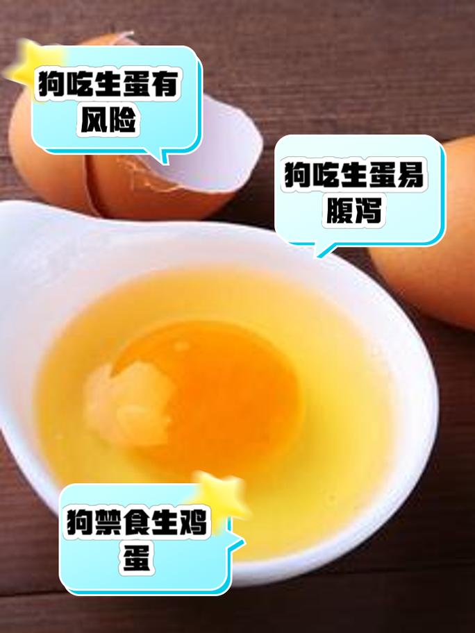 狗狗产后吃鸡蛋好吗？狗狗产后吃鸡蛋好吗会回奶吗？