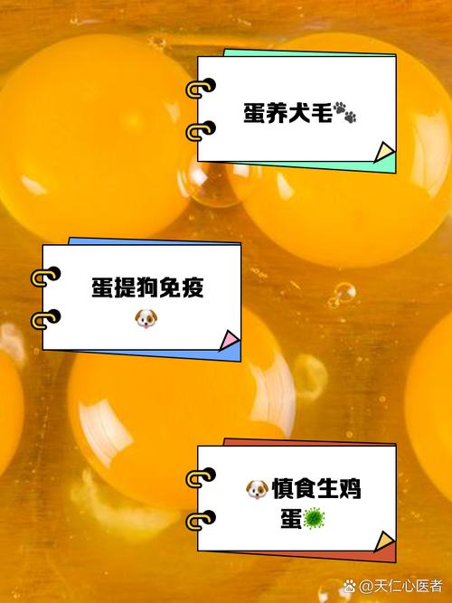 狗狗产后吃鸡蛋好吗