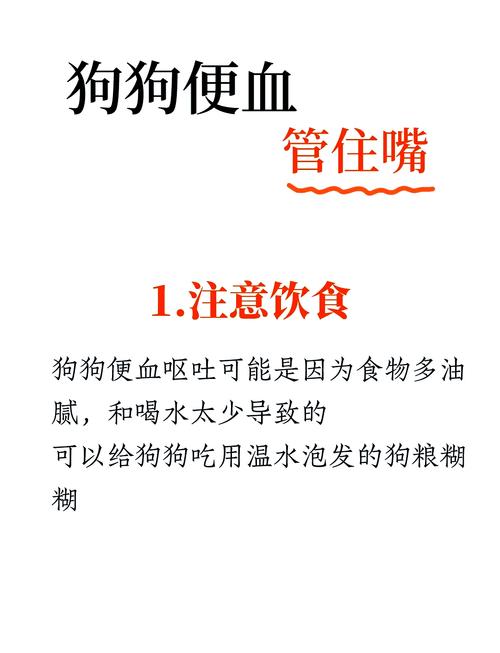 狗狗反复拉肚子怎么办