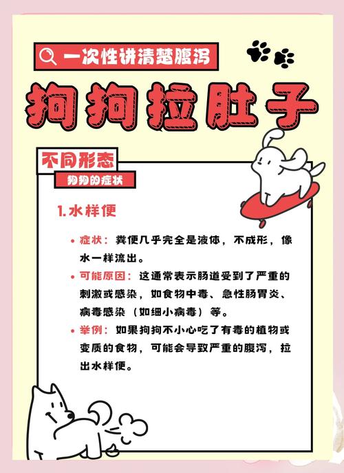 小狗拉肚子怎么办?吃什么药好的快?